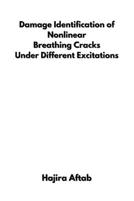 bokomslag Damage Identification of Nonlinear Breathing Cracks Under Different Excitations