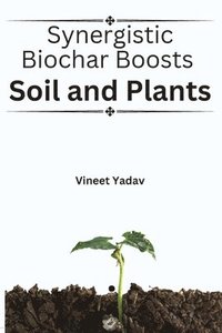 bokomslag Synergistic Biochar Boosts Soil and Plants