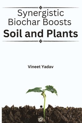 Synergistic Biochar Boosts Soil and Plants 1