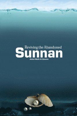 Reviving the Abandoned Sunnan 1