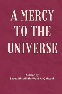 bokomslag A Mercy to the Universe