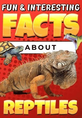 bokomslag Fun & Interesting Facts About Reptiles