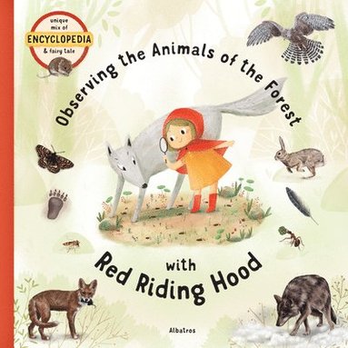 bokomslag Observing the Animals of the Forest with Little Red Riding Hood