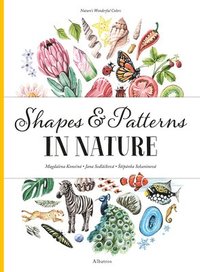 bokomslag Shapes and Patterns in Nature
