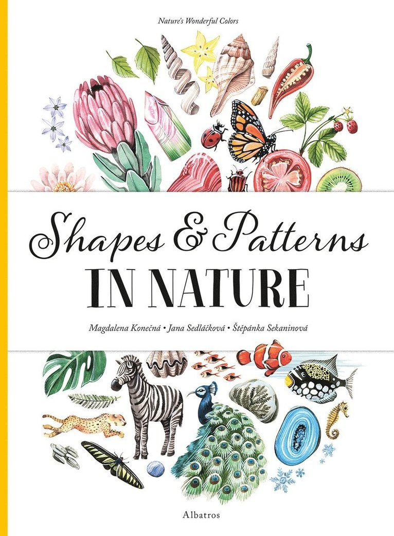 Stepanka Sekaninova, Jana Sedlackova, Sekaninova Stepanka, Sedlackova Jana - Shapes and Patterns in Nature, Inbunden