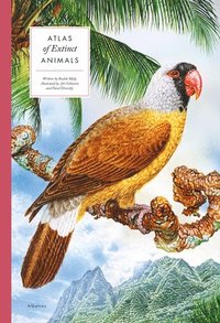 bokomslag Atlas of Extinct Animals