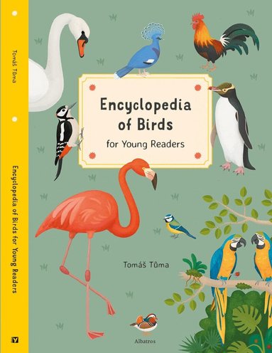 Tomas Tuma - Encyclopedia of Birds, Inbunden