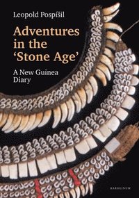 bokomslag Adventures in the Stone Age