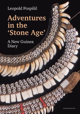 Adventures in the Stone Age 1