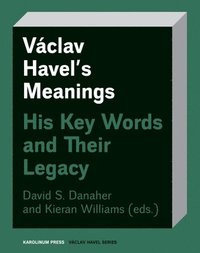 bokomslag Vclav Havels Meanings