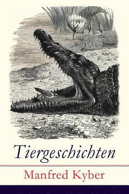 bokomslag Tiergeschichten