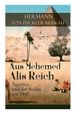 Hermann Von Pückler-Muskau - Aus Mehemed Alis Reich: Ägypten Und Der Sudan Um 1840, Häftad