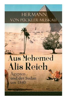 bokomslag Aus Mehemed Alis Reich