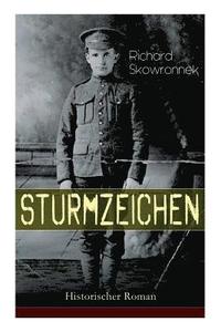 bokomslag Sturmzeichen (Historischer Roman)