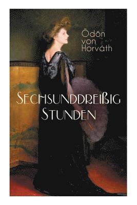 bokomslag Sechsunddreißig Stunden
