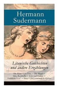 bokomslag Litauische Geschichten und andere Erzählungen