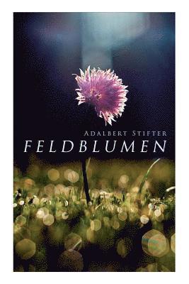 bokomslag Feldblumen