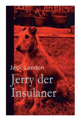 Jack London - Jerry der Insulaner, Häftad