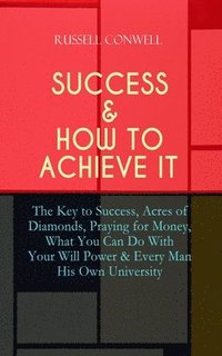 bokomslag Success & How to Achieve It