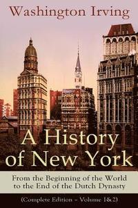 bokomslag A History of New York