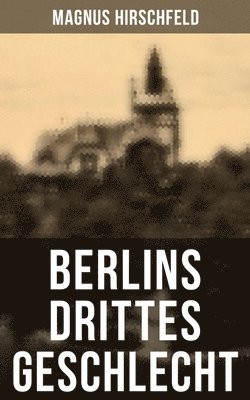 bokomslag Berlins Drittes Geschlecht: Das Homosexuelle Leben Um Das Jahr 1900