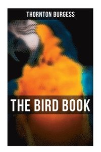 bokomslag The Bird Book: Educational & Warmhearted Nature Stories for the Youngest