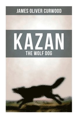 Kazan, the Wolf Dog