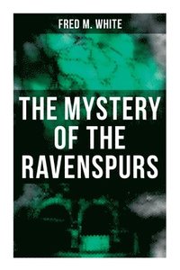 bokomslag The Mystery of the Ravenspurs: The Black Valley