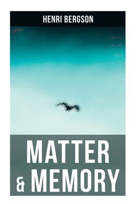 Henri Bergson, Nancy Margaret Paul, W. Scott Palmer - Matter & Memory, Häftad