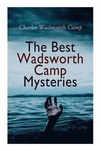 bokomslag The Best Wadsworth Camp Mysteries