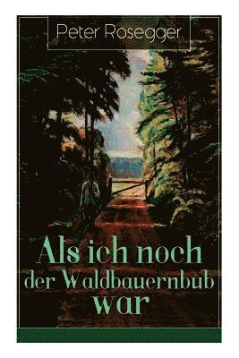 bokomslag Als ich noch der Waldbauernbub war