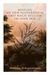 bokomslag Ausflug an den Niederrhein und nach Belgien im Jahr 1828