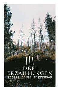 bokomslag Drei Erzählungen