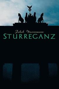 bokomslag Sturreganz