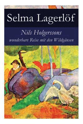 bokomslag Nils Holgerssons Wunderbare Reise Mit Den Wildgänsen
