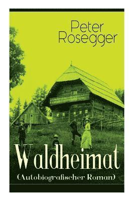 bokomslag Waldheimat (Autobiografischer Roman)