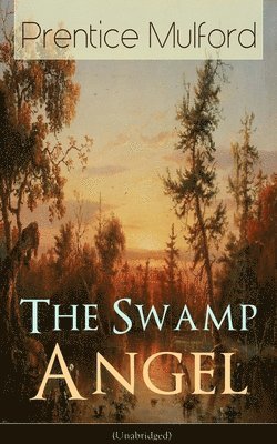 bokomslag Swamp Angel (Unabridged)