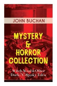 bokomslag Mystery & Horror Collection - Witch Wood & Other Dark-'N'-Spooky Tales