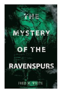 bokomslag The Mystery of the Ravenspours