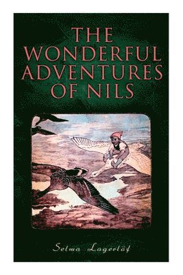 The Wonderful Adventures of Nils 1