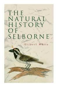 bokomslag Natural History of Selborne