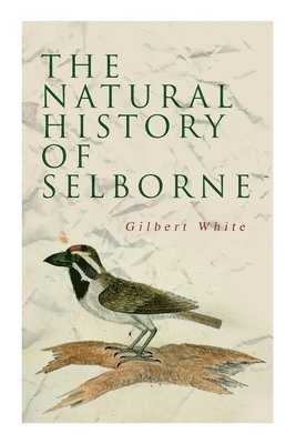 bokomslag Natural History of Selborne