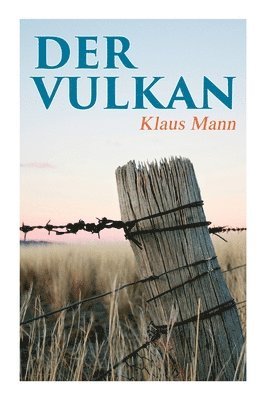 bokomslag Der Vulkan