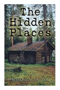 bokomslag The Hidden Places