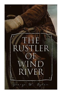 bokomslag The Rustler of Wind River