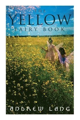 bokomslag The Yellow Fairy Book