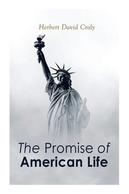 bokomslag The Promise of American Life