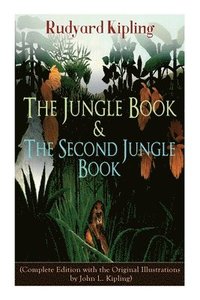 bokomslag The Jungle Book & the Second Jungle Book