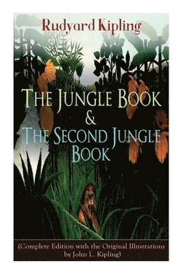 bokomslag Jungle Book & the Second Jungle Book