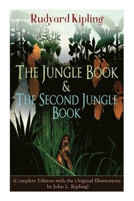 The Jungle Book & the Second Jungle Book 1